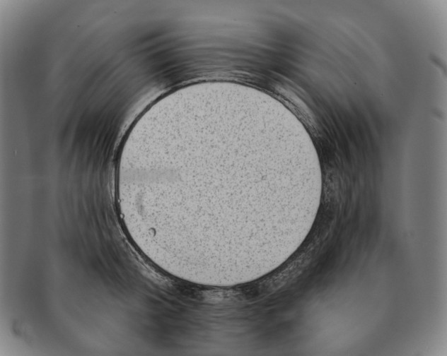 X0000091000804200708301333