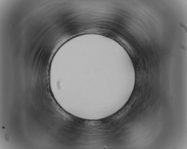 X0000091000808200708301333