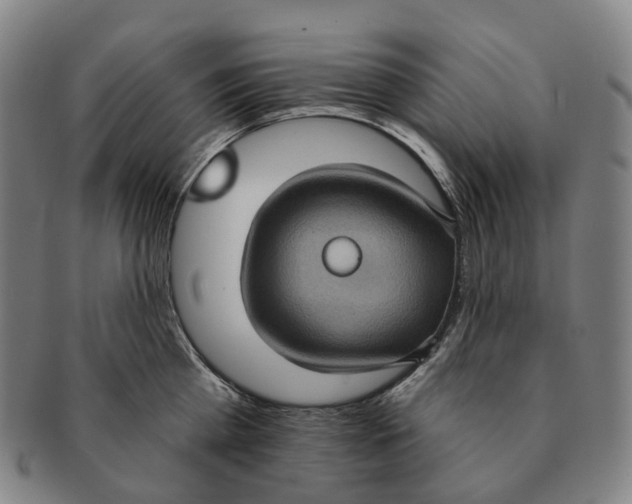 X0000091000809200708301333