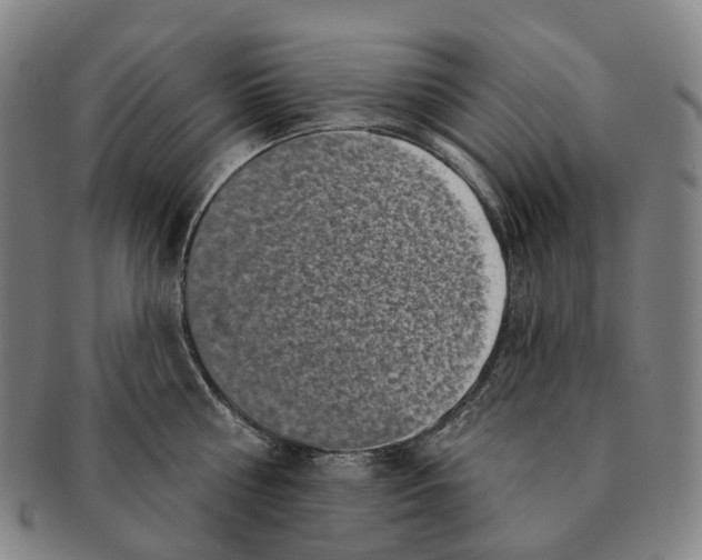 X0000091000810200708301333
