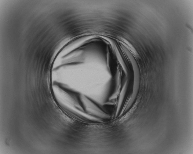 X0000091000812200708301333