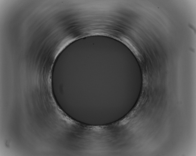 X0000091000814200708301333