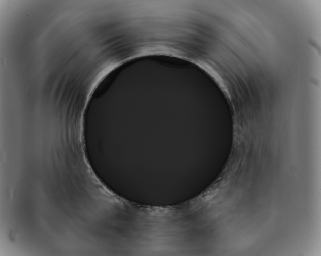X0000091000815200708301333