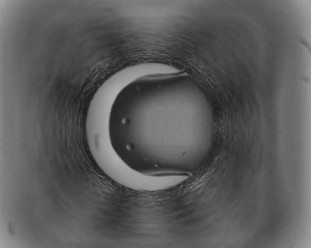 X0000091000818200708301333