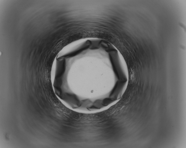 X0000091000819200708301333