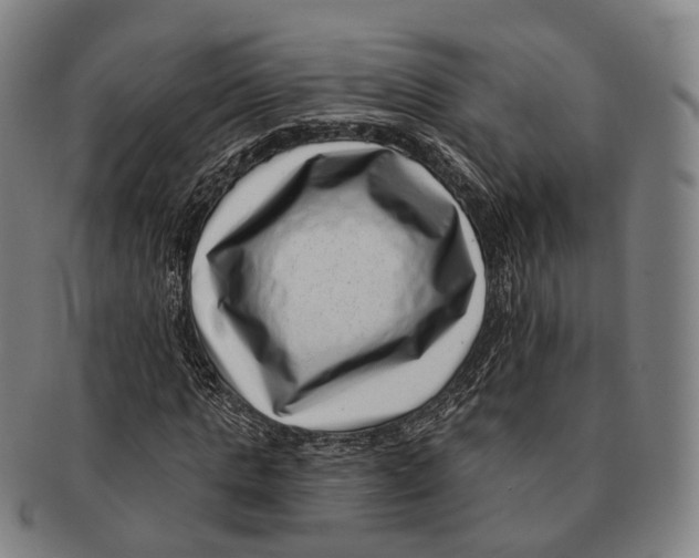 X0000091000821200708301333