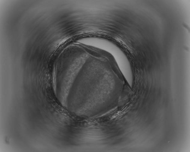 X0000091000822200708301333