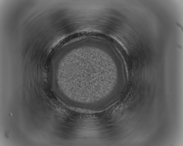 X0000091000823200708301333
