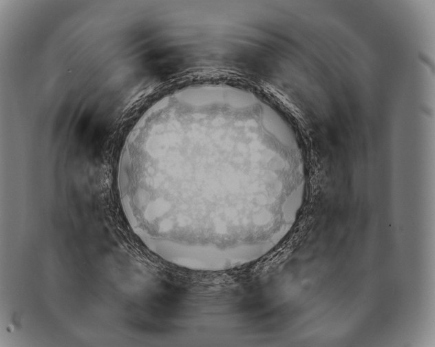 X0000091000824200708301333