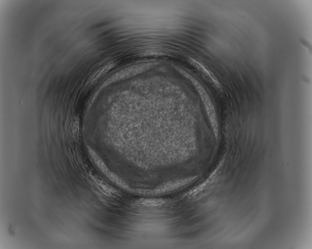 X0000091000825200708301333