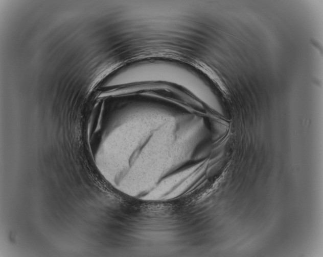 X0000091000826200708301333