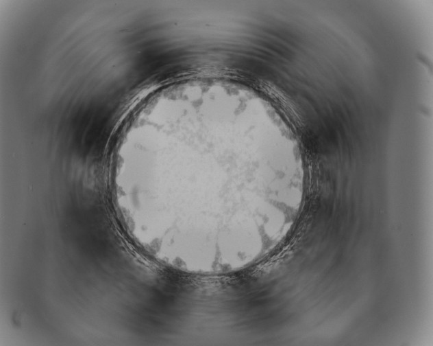 X0000091000828200708301333