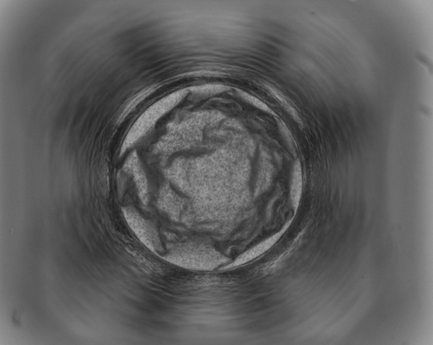 X0000091000829200708301333