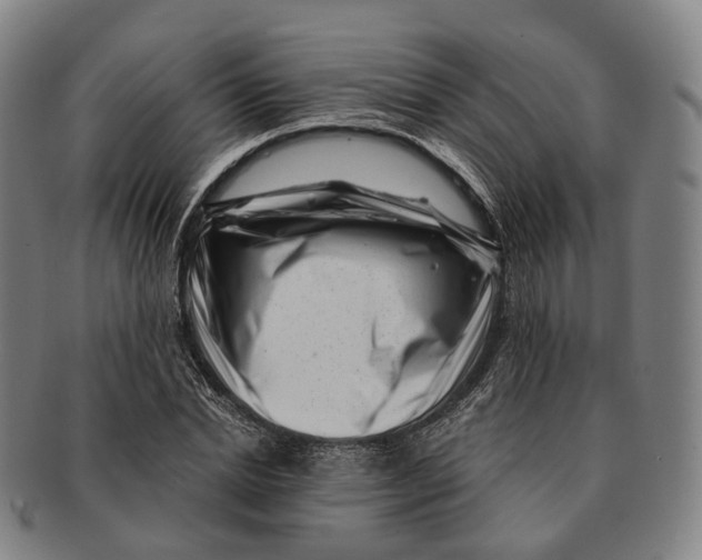X0000091000830200708301333