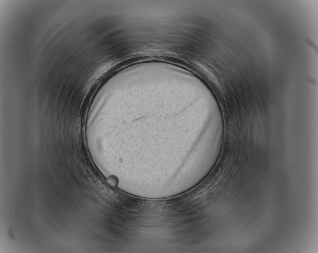X0000091000831200708301333