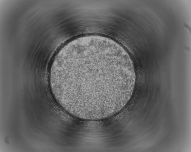 X0000091000832200708301333