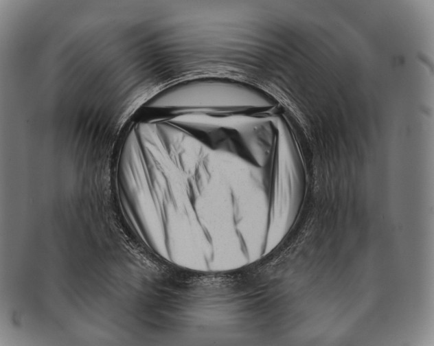 X0000091000834200708301333