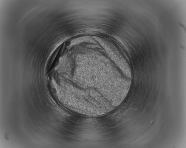 X0000091000835200708301333