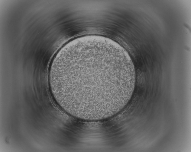 X0000091000836200708301333