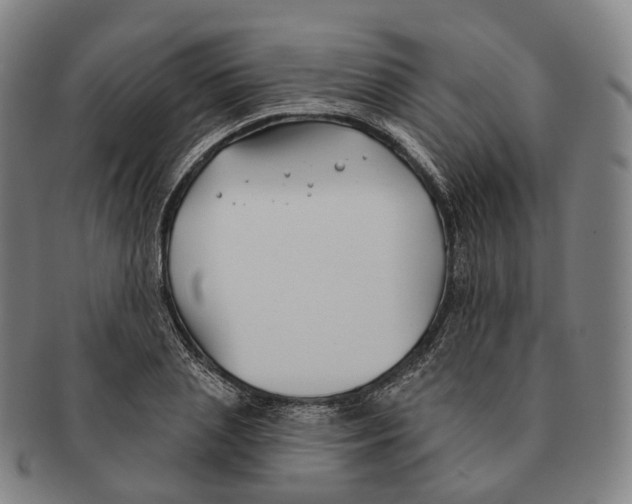 X0000091000837200708301333