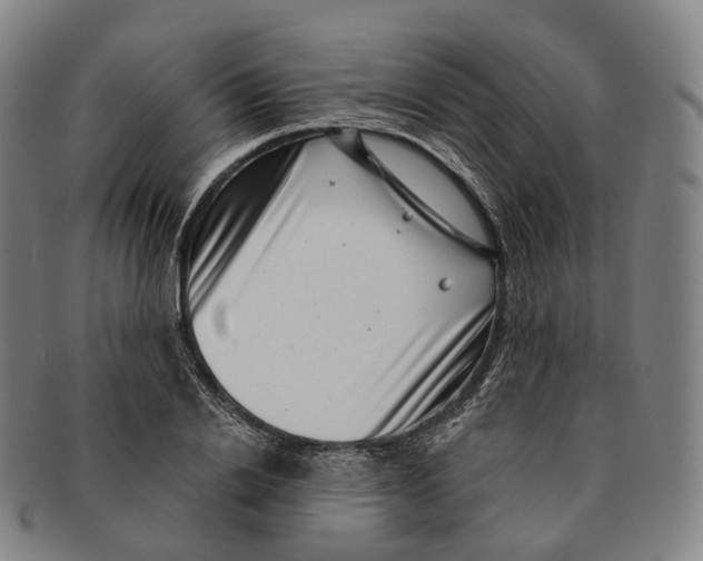 X0000091000838200708301333