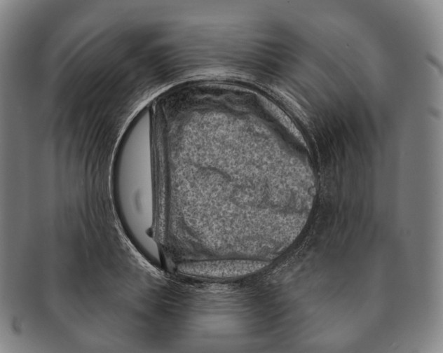 X0000091000839200708301333