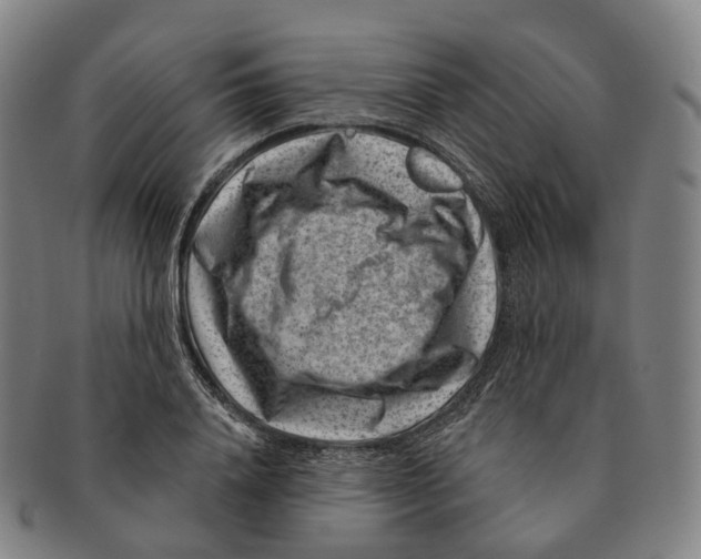X0000091000840200708301333