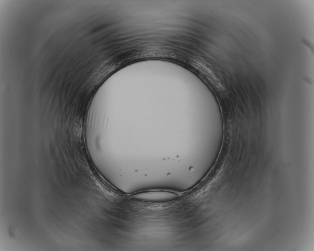 X0000091000841200708301333