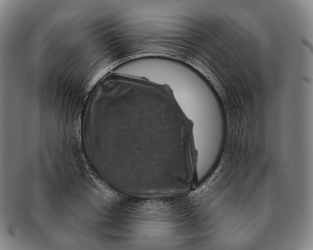 X0000091000842200708301333
