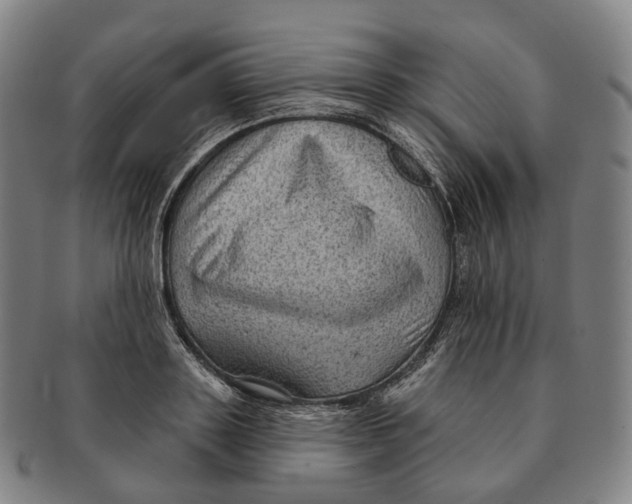 X0000091000843200708301333
