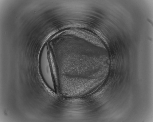 X0000091000845200708301333