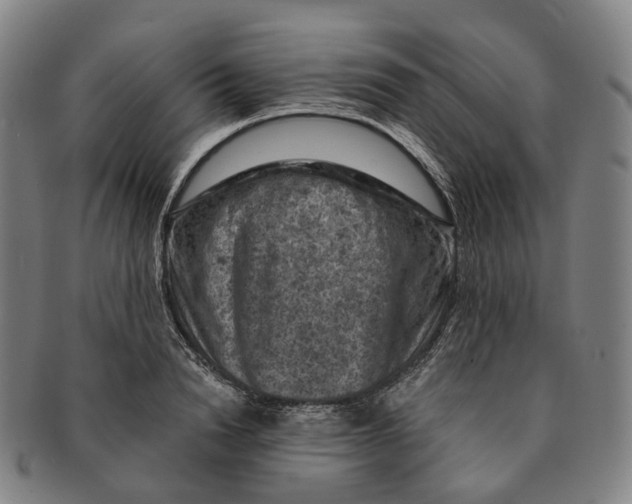 X0000091000846200708301333
