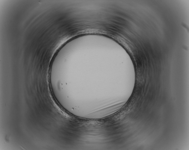 X0000091000847200708301333