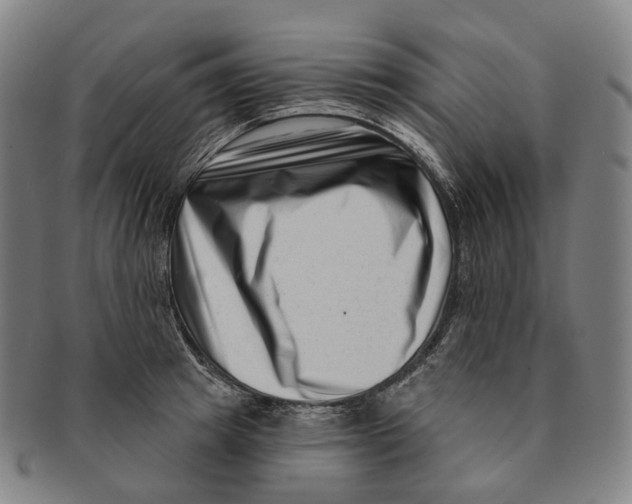 X0000091000849200708301333