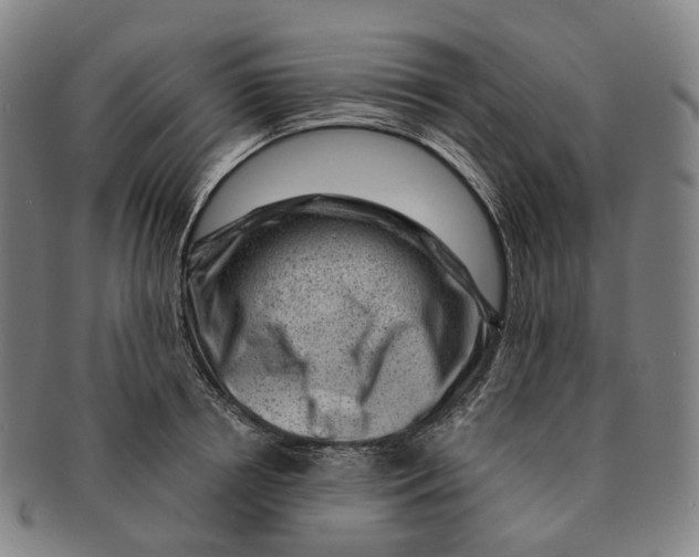 X0000091000850200708301333