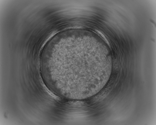 X0000091000851200708301333