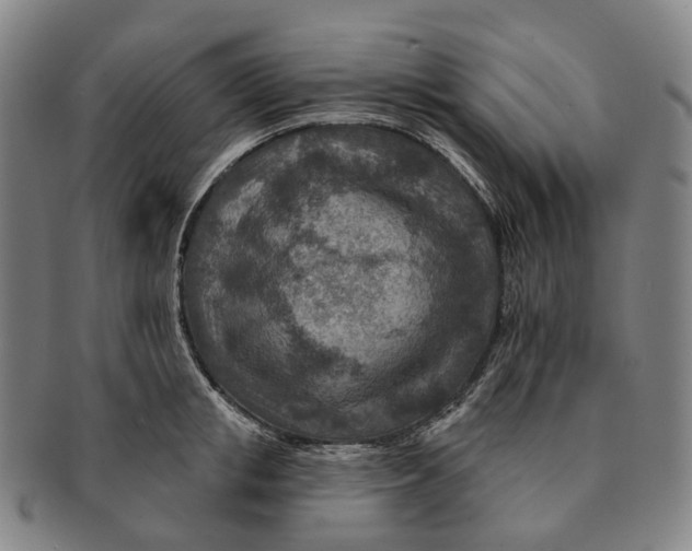 X0000091000853200708301333