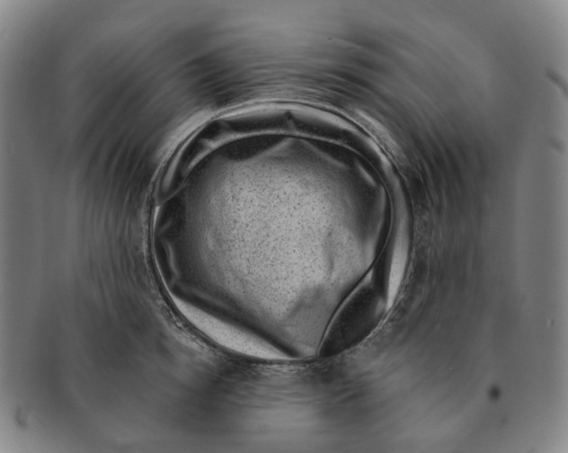 X0000091000854200708301333