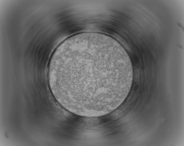 X0000091000856200708301333