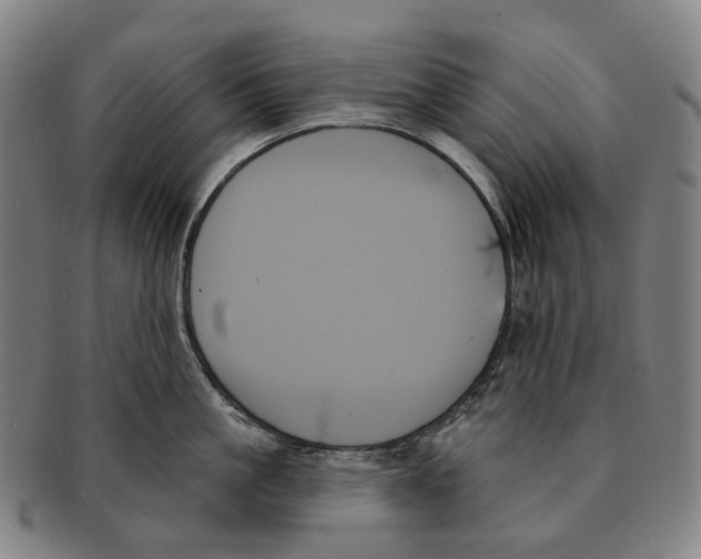 X0000091000861200708301333