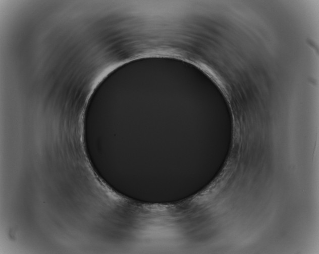 X0000091000862200708301333