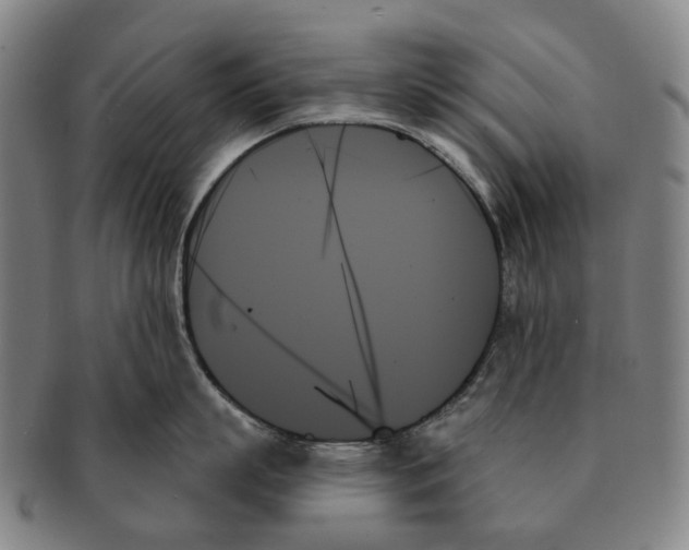 X0000091000863200708301333