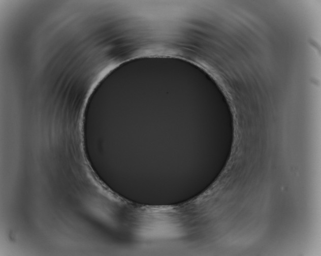X0000091000864200708301333