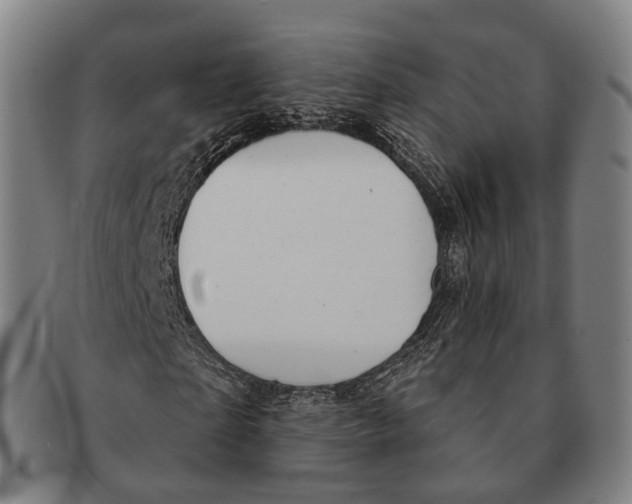 X0000091000865200708301333