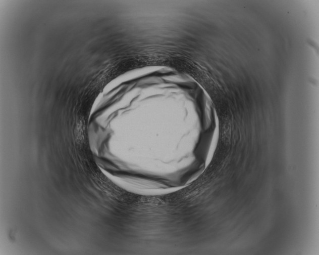 X0000091000866200708301333