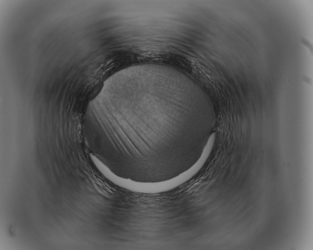 X0000091000868200708301333
