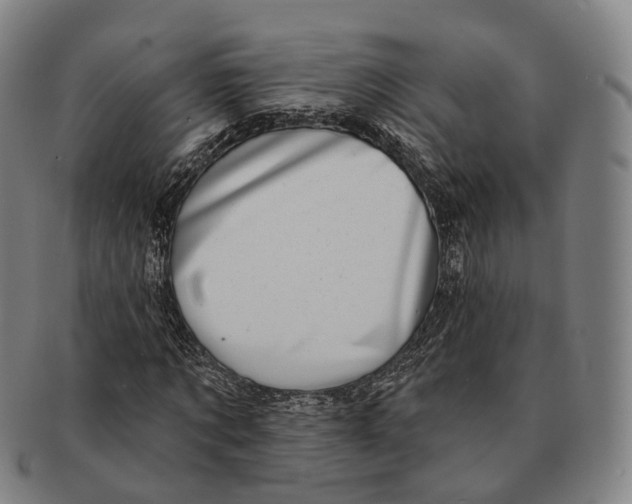 X0000091000869200708301333