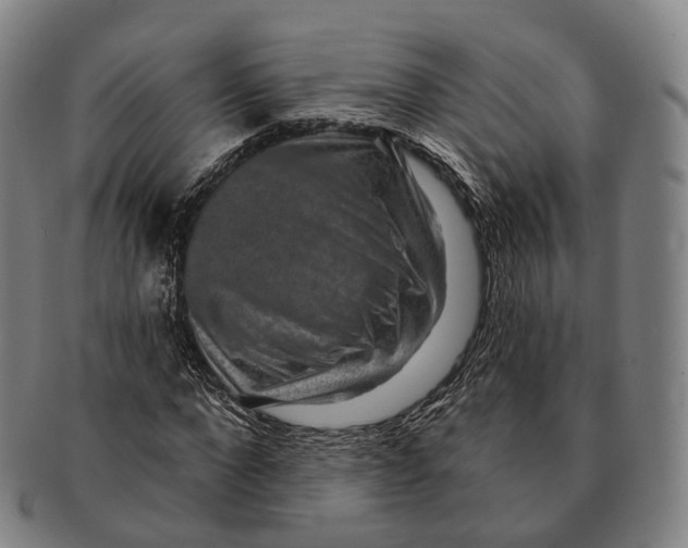 X0000091000872200708301332