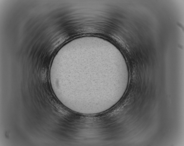 X0000091000873200708301332