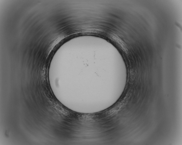 X0000091000875200708301332